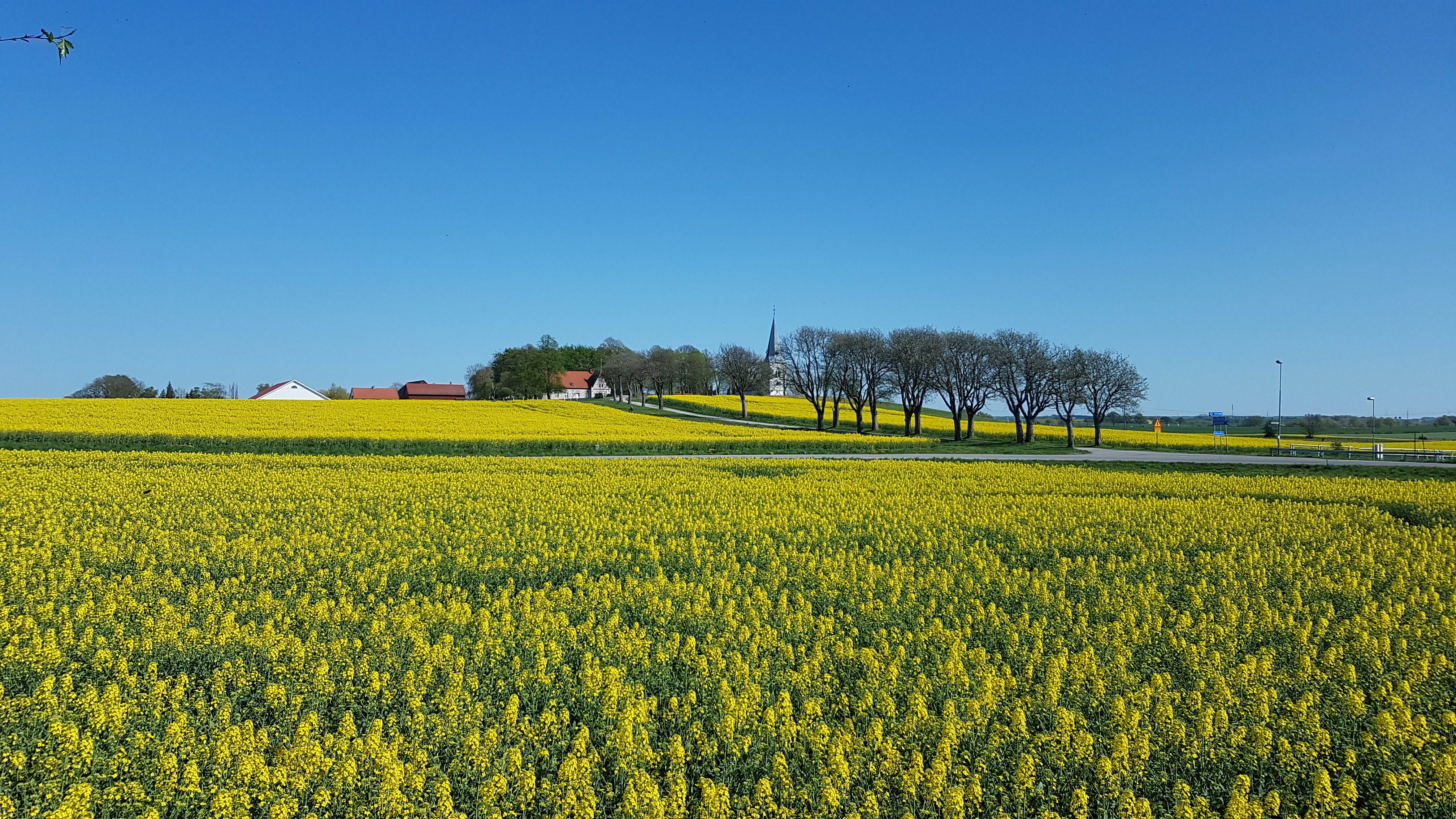 Kastanjegården B foto 18